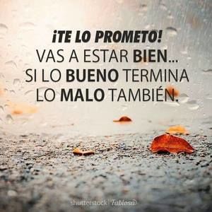 Meet your Posher, Ingrid